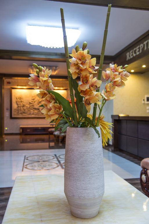 Hotel Elektra Vama Veche Zewnętrze zdjęcie